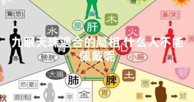 九眼天珠適合的屬相 什么人不能佩戴呢